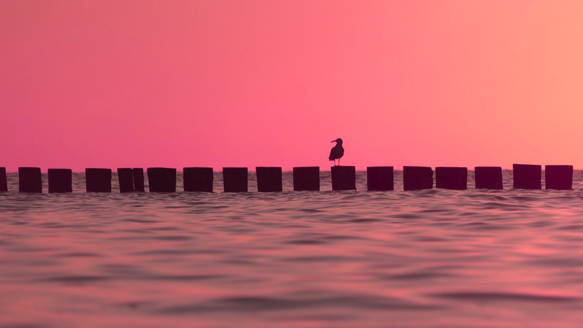 Image by Michaela 💗 from Pixabay